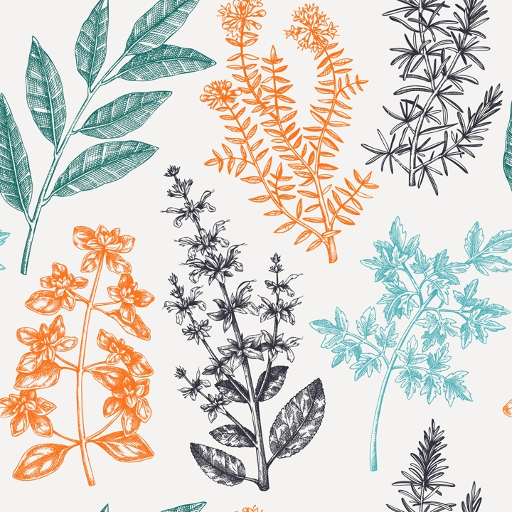 Vector background with typical herbs and spices for Italian cuisine. Hand-sketched kitchen herbal plants illustration. Aromatic food cooking ingredients backdrop. Hand drawn herbs background.